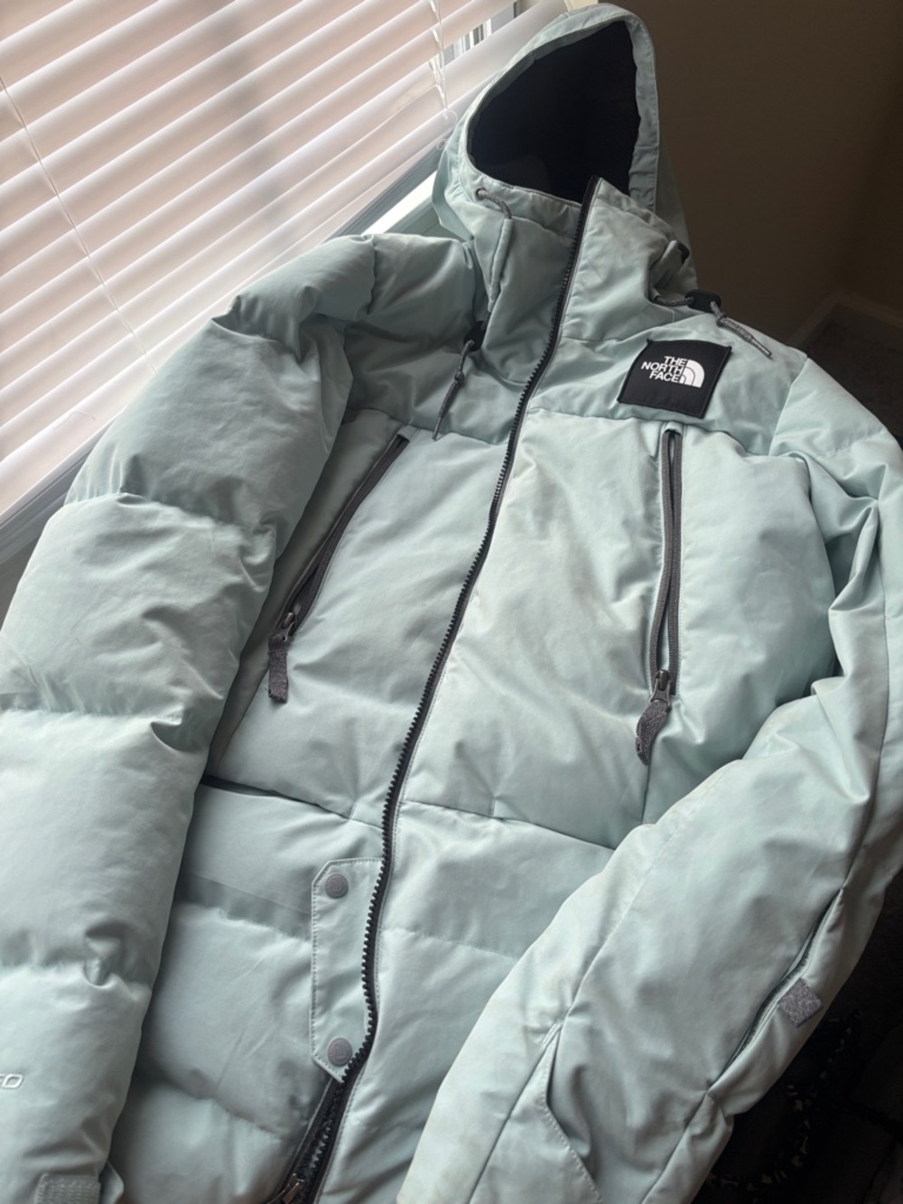 The North Face Light Mint Hooded Puffer Coat